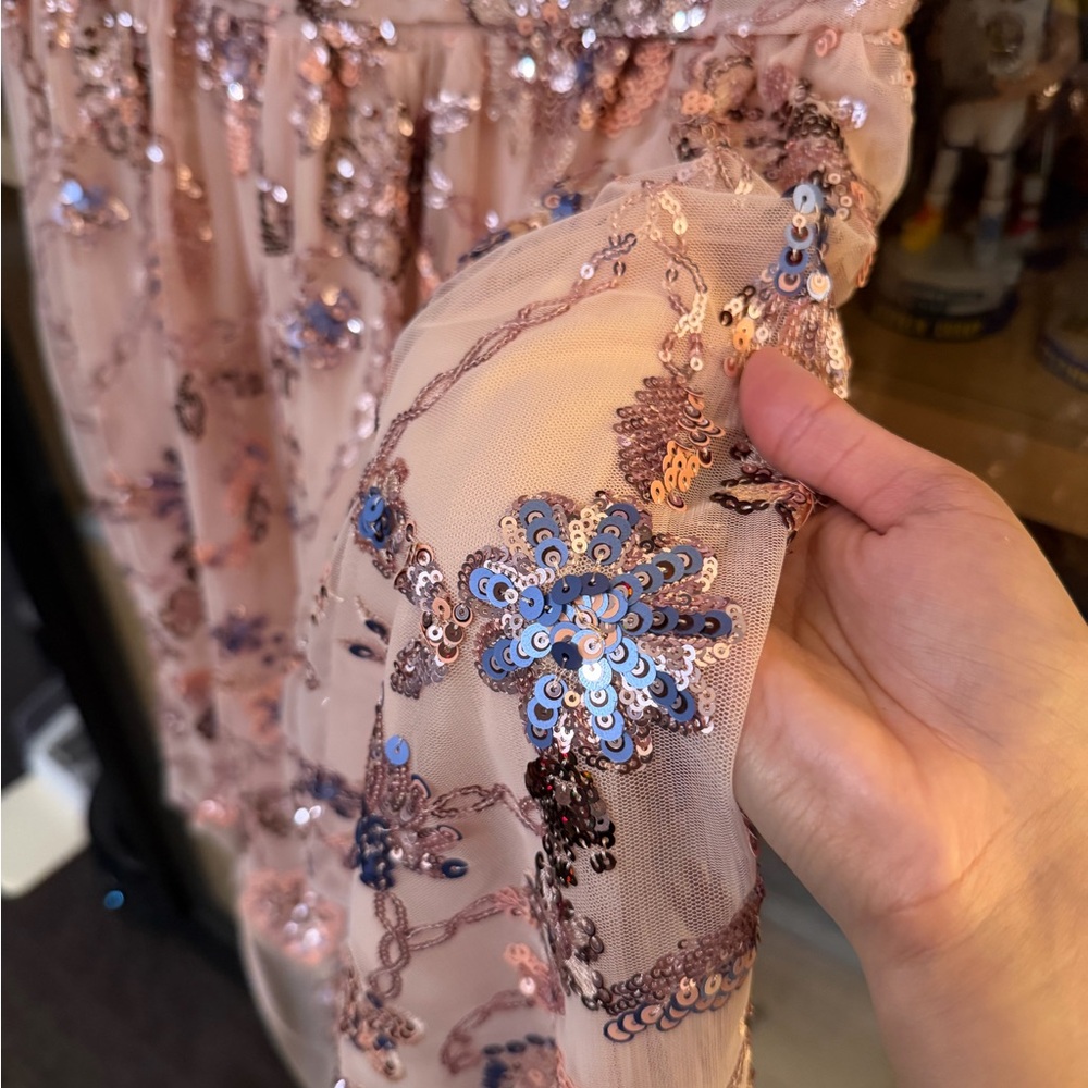Rachel Parcell sequin embroidery tulle dress in dusty rose - Picture 4 of 4